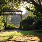 Giardini al passo con i tempi: idee per arredare uno spazio verde moderno